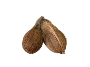 Mature Black Coconut with Semi-Husk