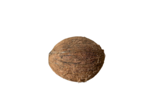 Mature Black Coconut Without Husk
